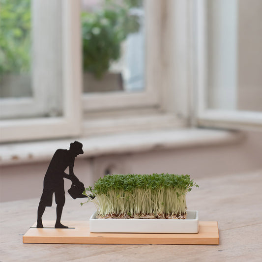 Kresseschale smart’n green