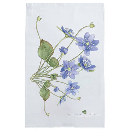 Blumenmotiv-Geschirrtuch, Anemone, Bio-Baumwolle