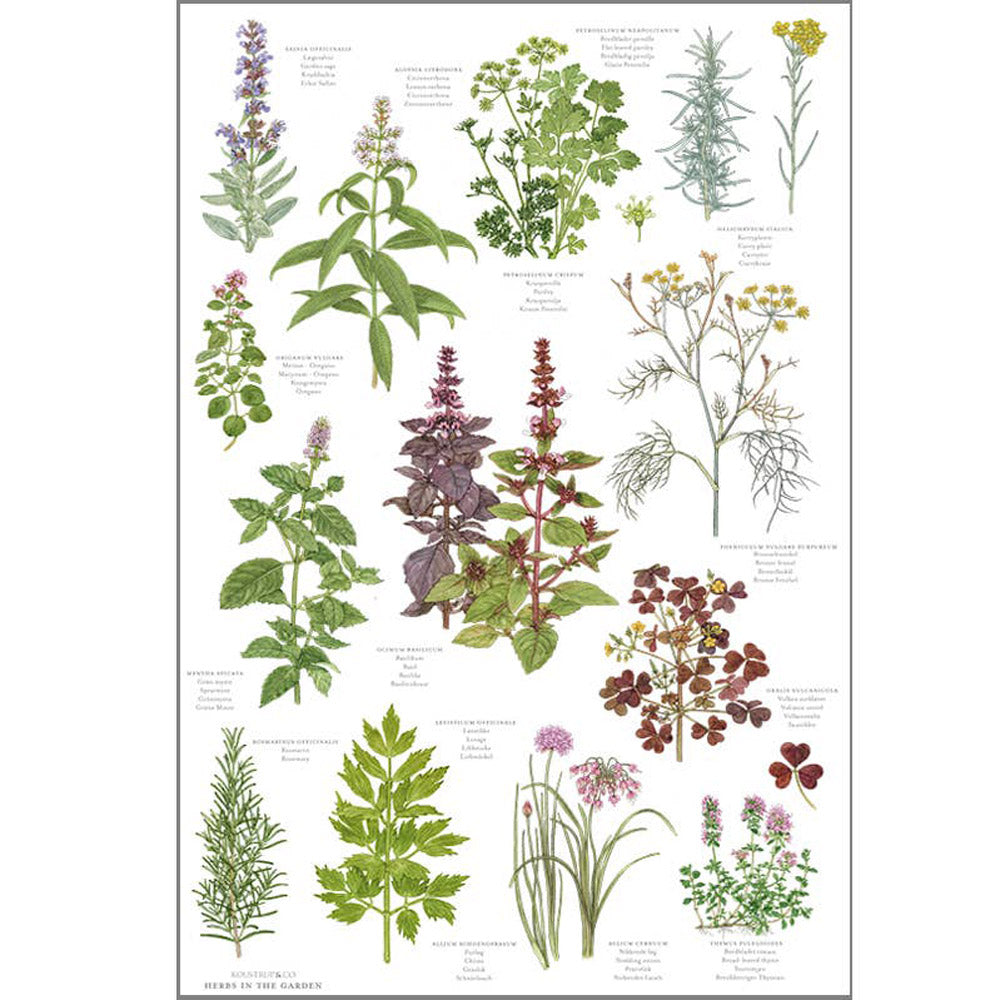 Gartenmotiv-Geschirrtuch, Herbs, Bio-Baumwolle