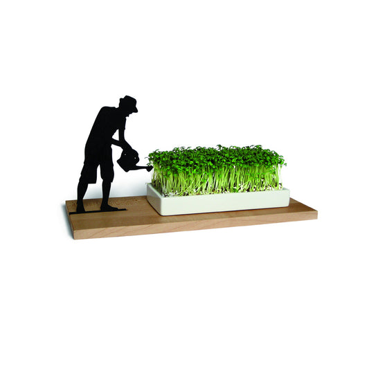 Originelle Kresseschale smart’n green