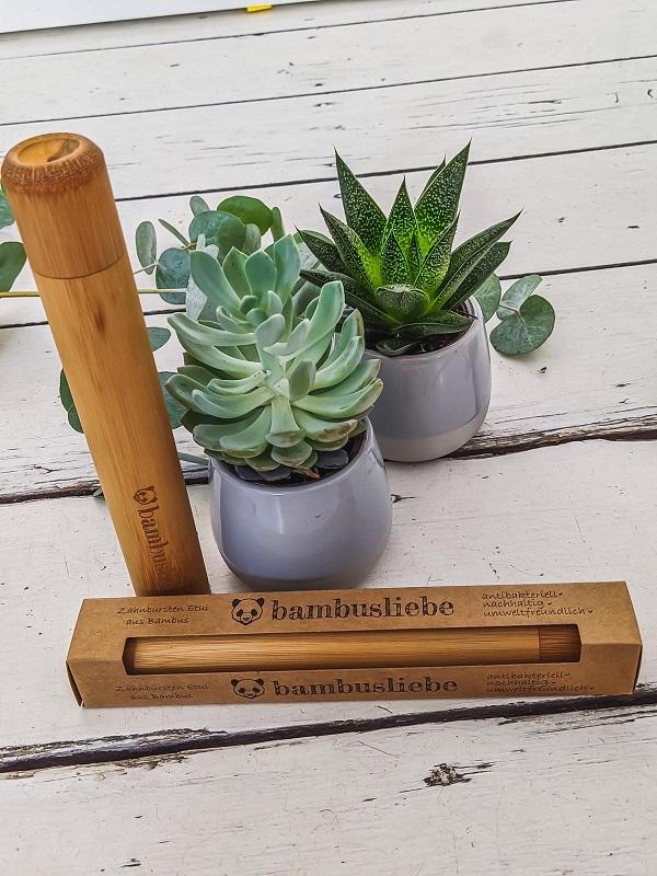 Zahnbürsten-Etui aus Bambus